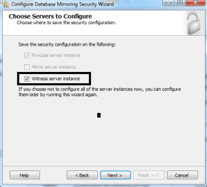 Check Witness Server