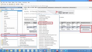 SQL Server Report 1